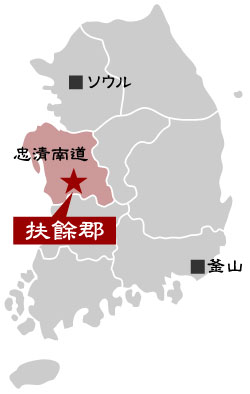画像| 画像|